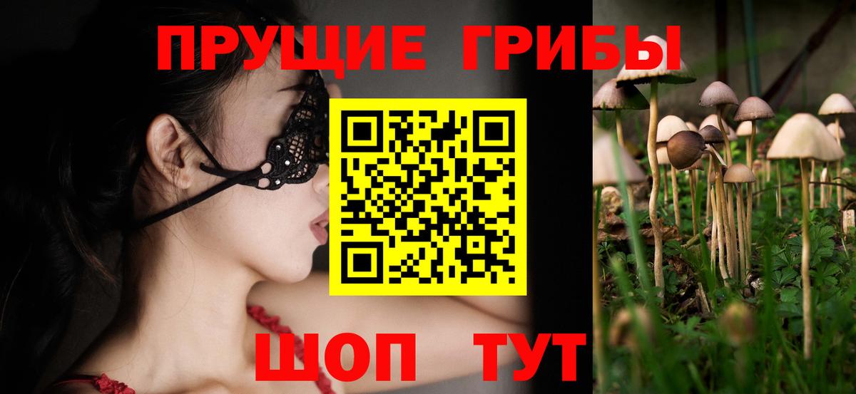 Галлюциногенные грибы GOLDEN TEACHER  Псилоцибиновые грибы ЛСД  купить  сайты  Вход с VPN  Аксай 